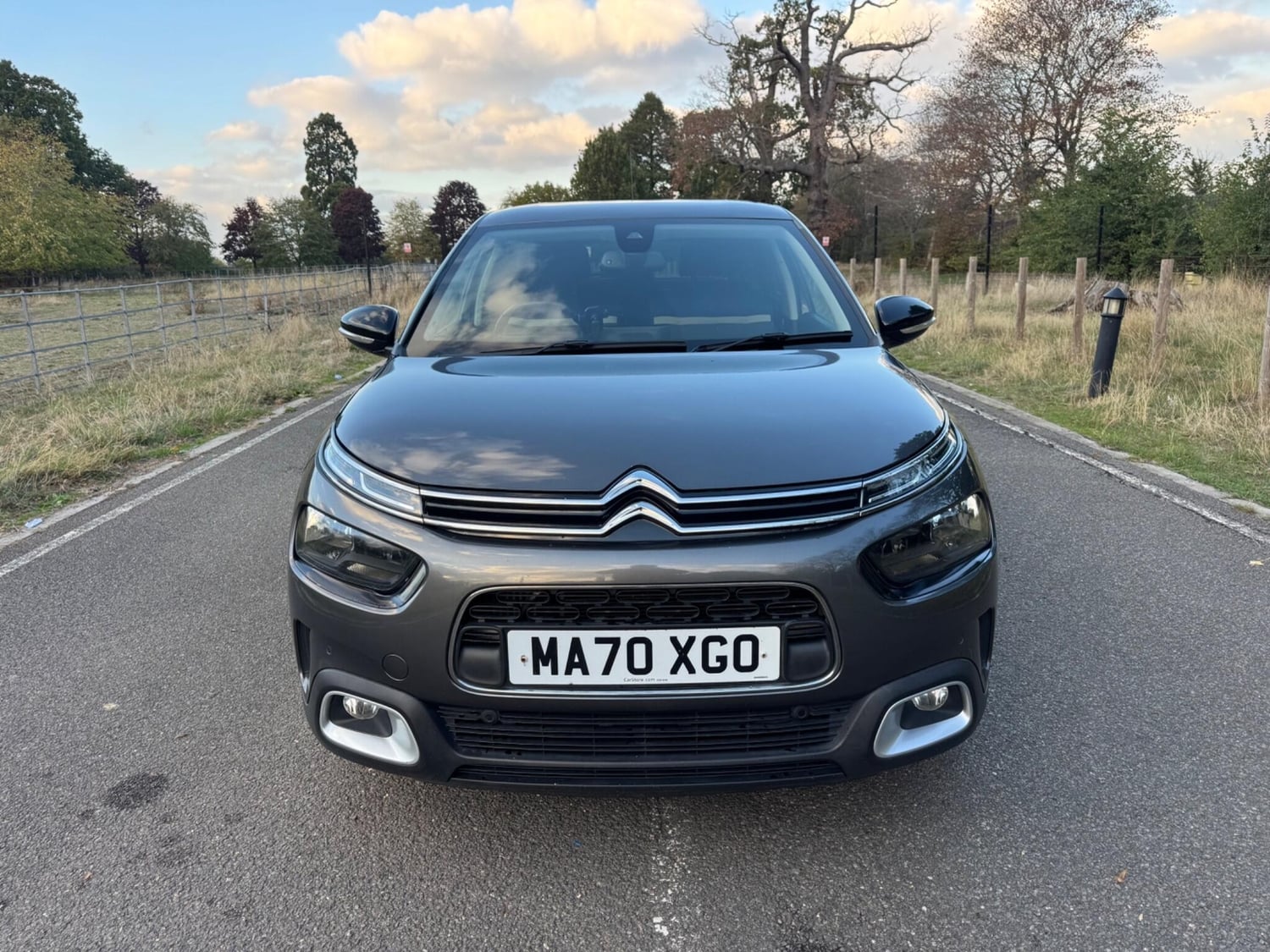 [ berth ]Citroen C4 Cactus