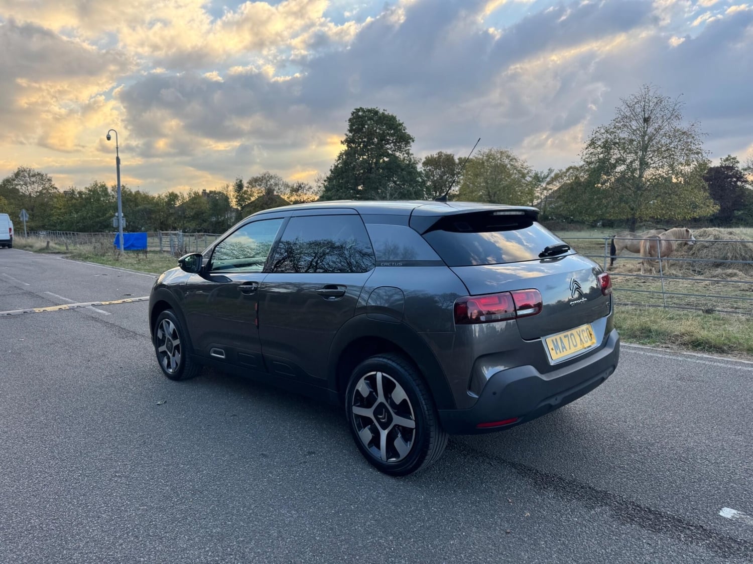 Citroen C4 Cactus 2020 - Cars
