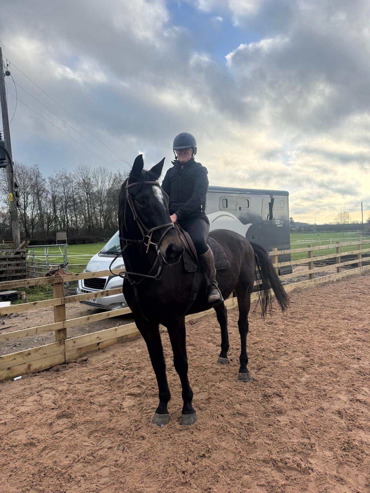 "KAREL DE GROTE WM" Brown Gelding All Rounder