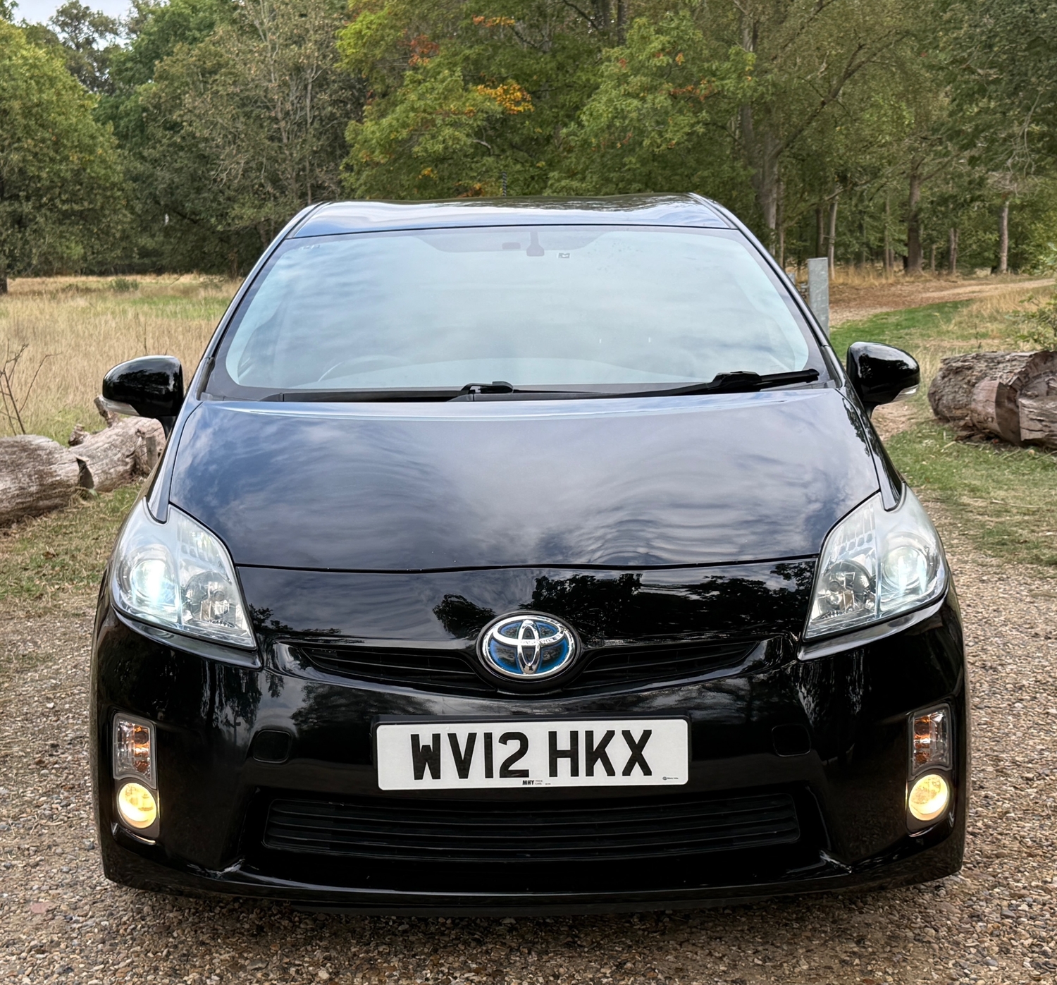 Toyota Prius Slough