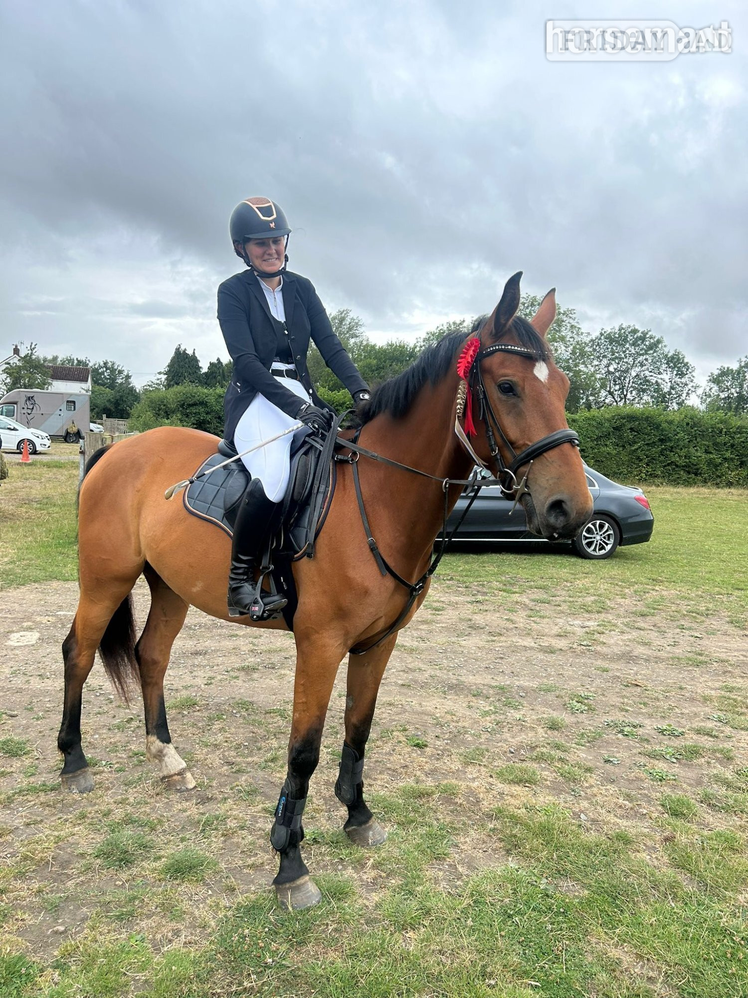 "Furst Kiss. (Ziggy) " Bay Gelding All Rounder