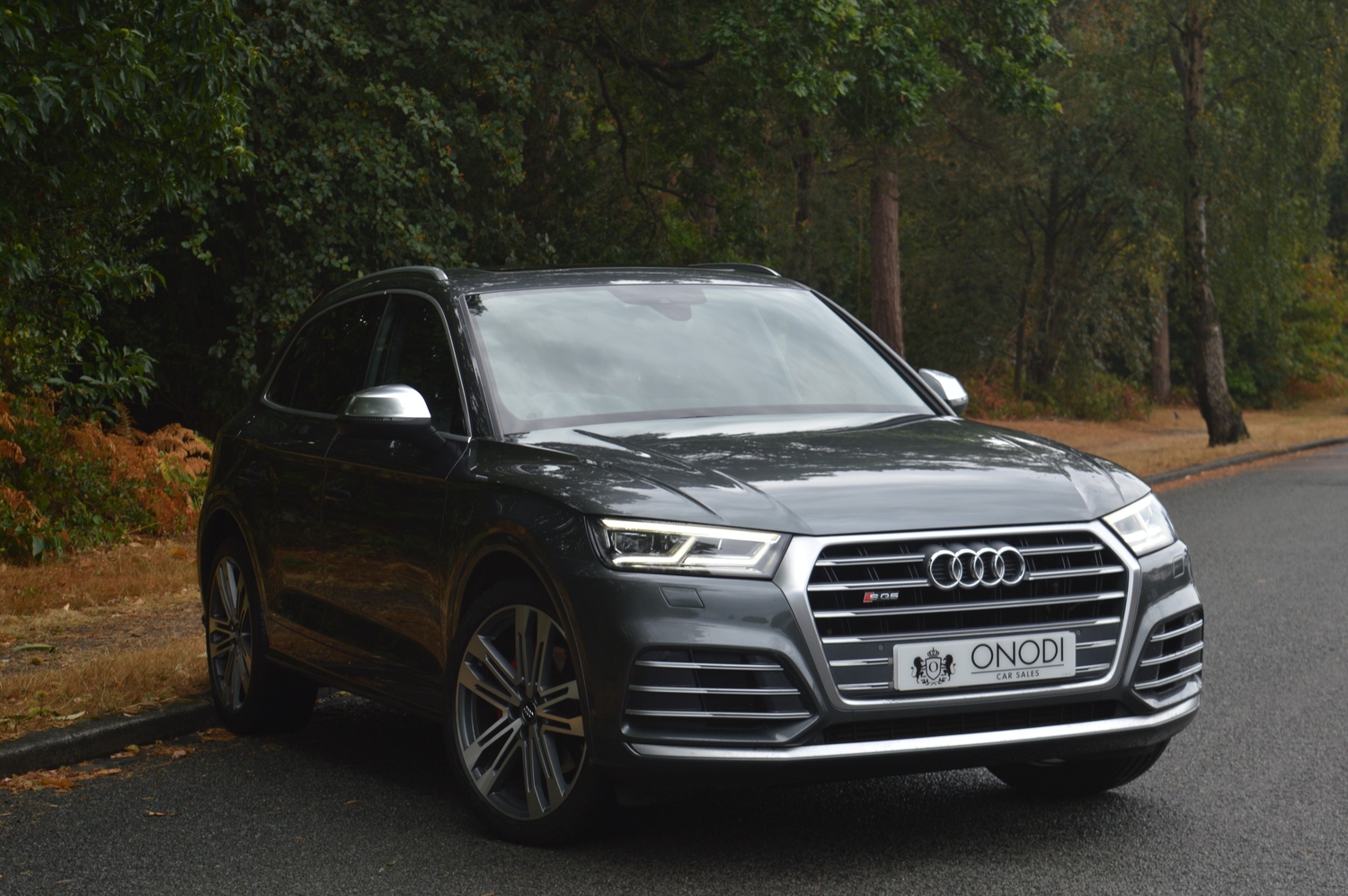 Audi SQ5 Bromley