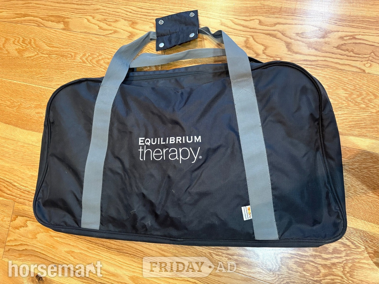 Richmond upon Thames Equilibrium Therapy Massage Pad – With Battery &amp; Bag
