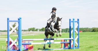 "Cherry"  Mare Pony Club Pony