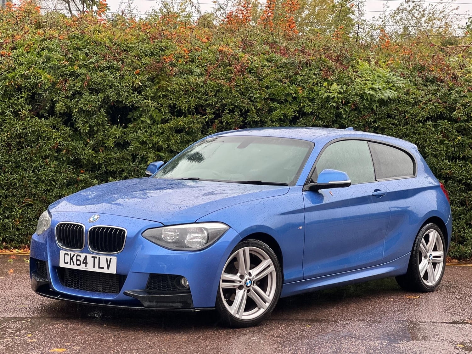 BMW 1 Series Swindon