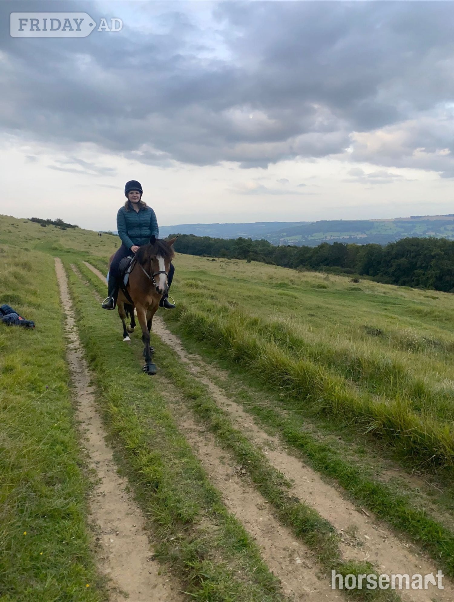 14.1 hh gelding 10 yo, professionally broken but green in Winchcombe
