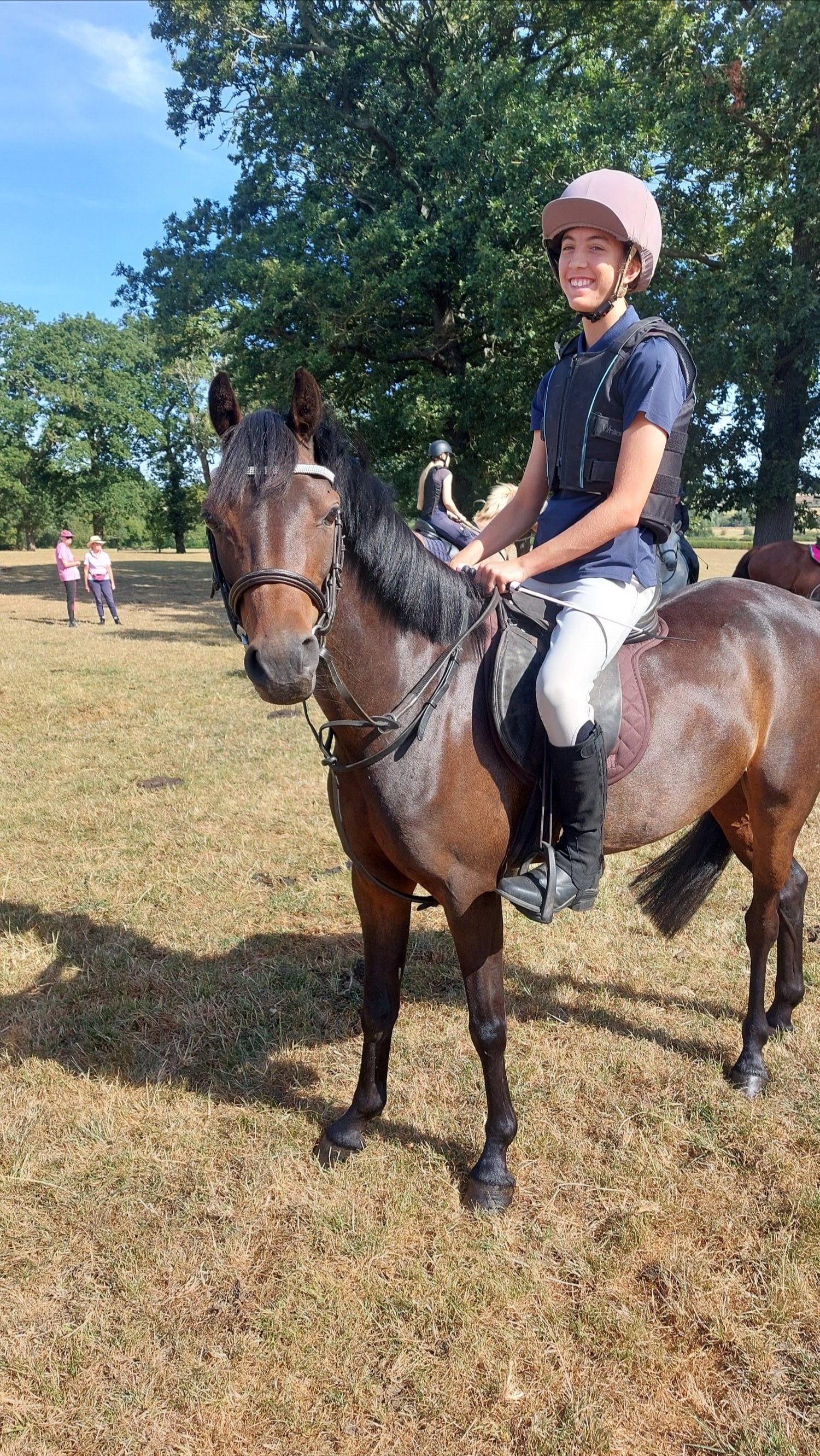 "Henry" Dark Bay Gelding Pony Club Pony