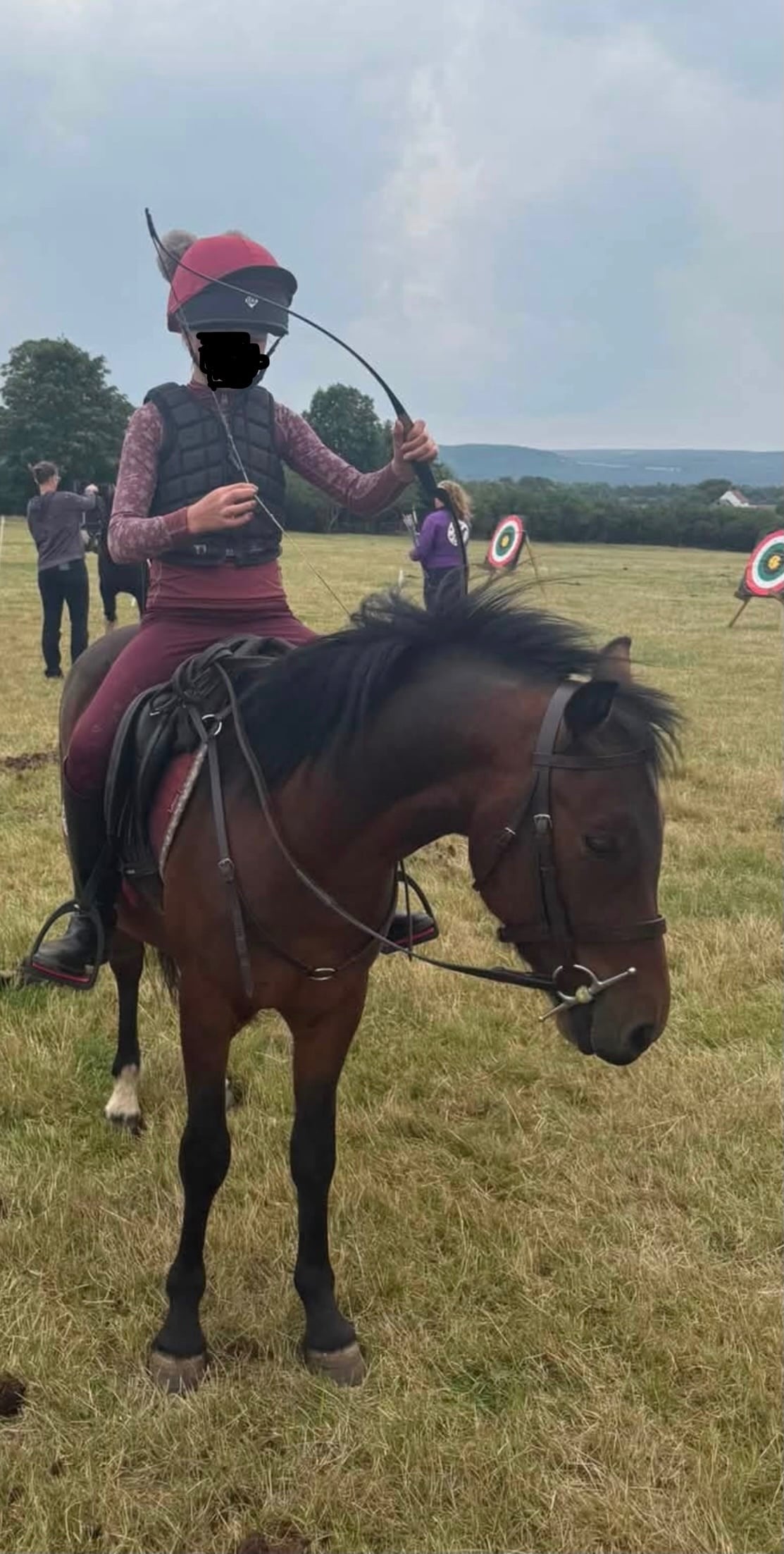 "Ezra " Bay Gelding Pony Club Pony - Horses in Saltburn-By-The-Sea