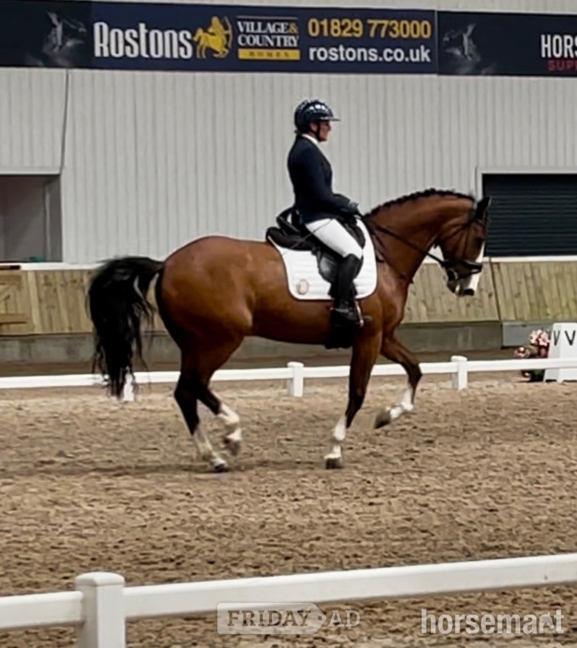 "Edentrillick Sunshine " Bay Mare Dressage Horse in Stoke
