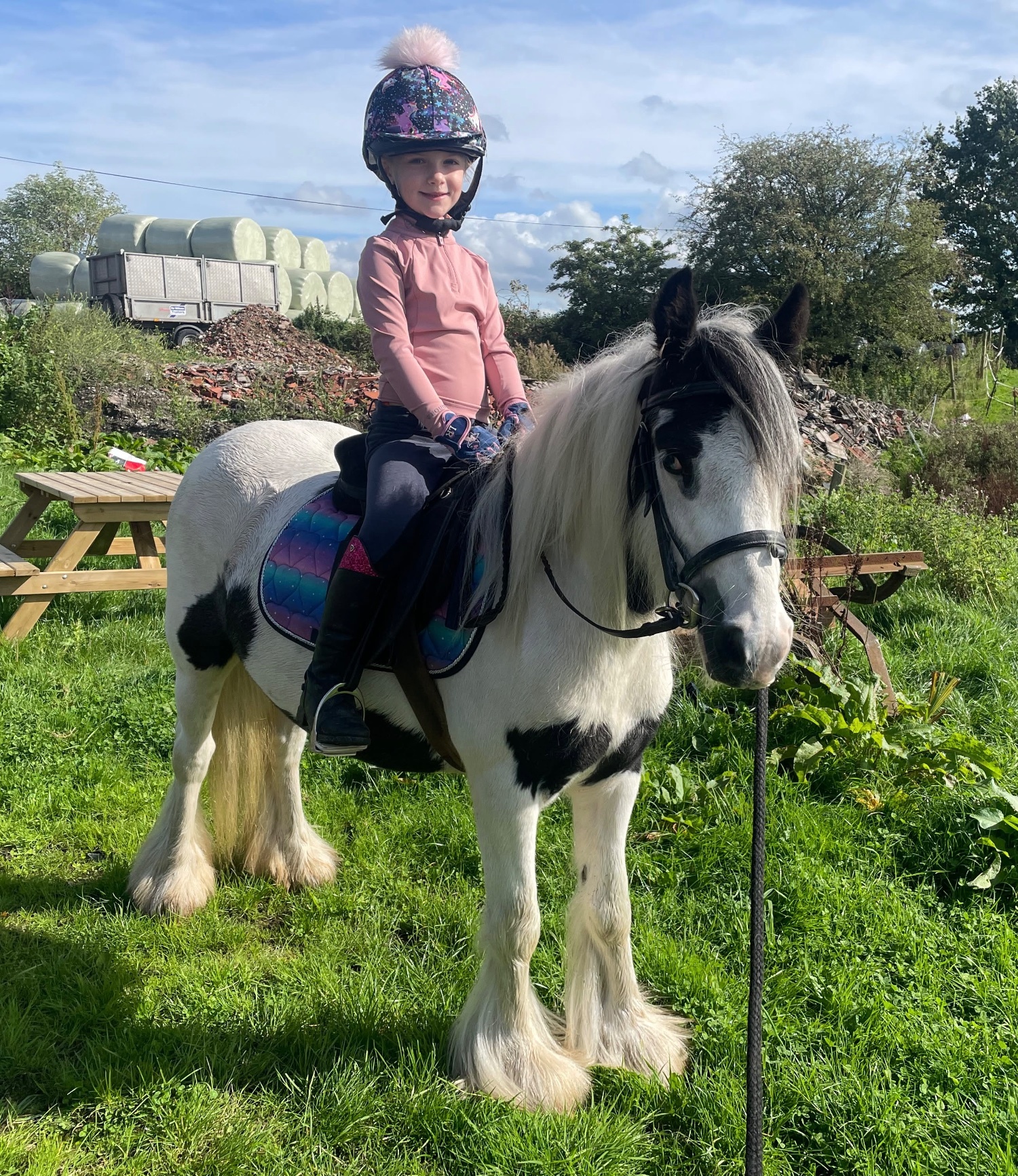 "Elsie " Piebald Mare Cob/Heavy Horse - Horses in Stockport