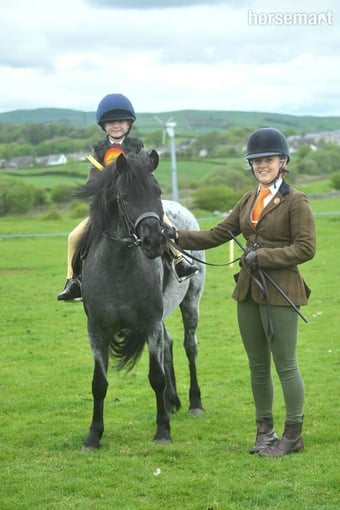 "Gray " Steel Grey Mare All Rounder