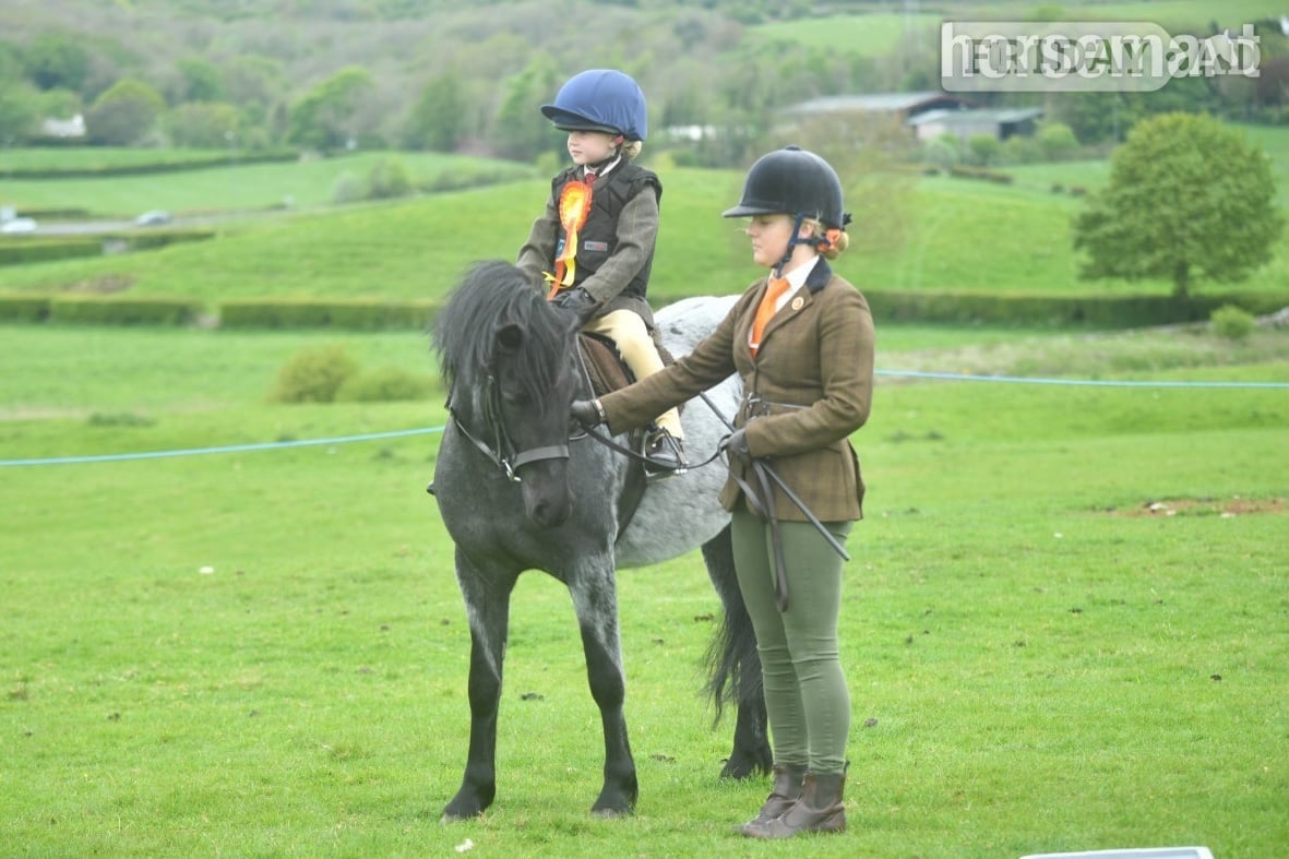 Grizebeck "Gray " Steel Grey Mare All Rounder