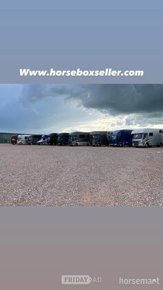 Horsebox - Trailers & Horseboxes in Banbury