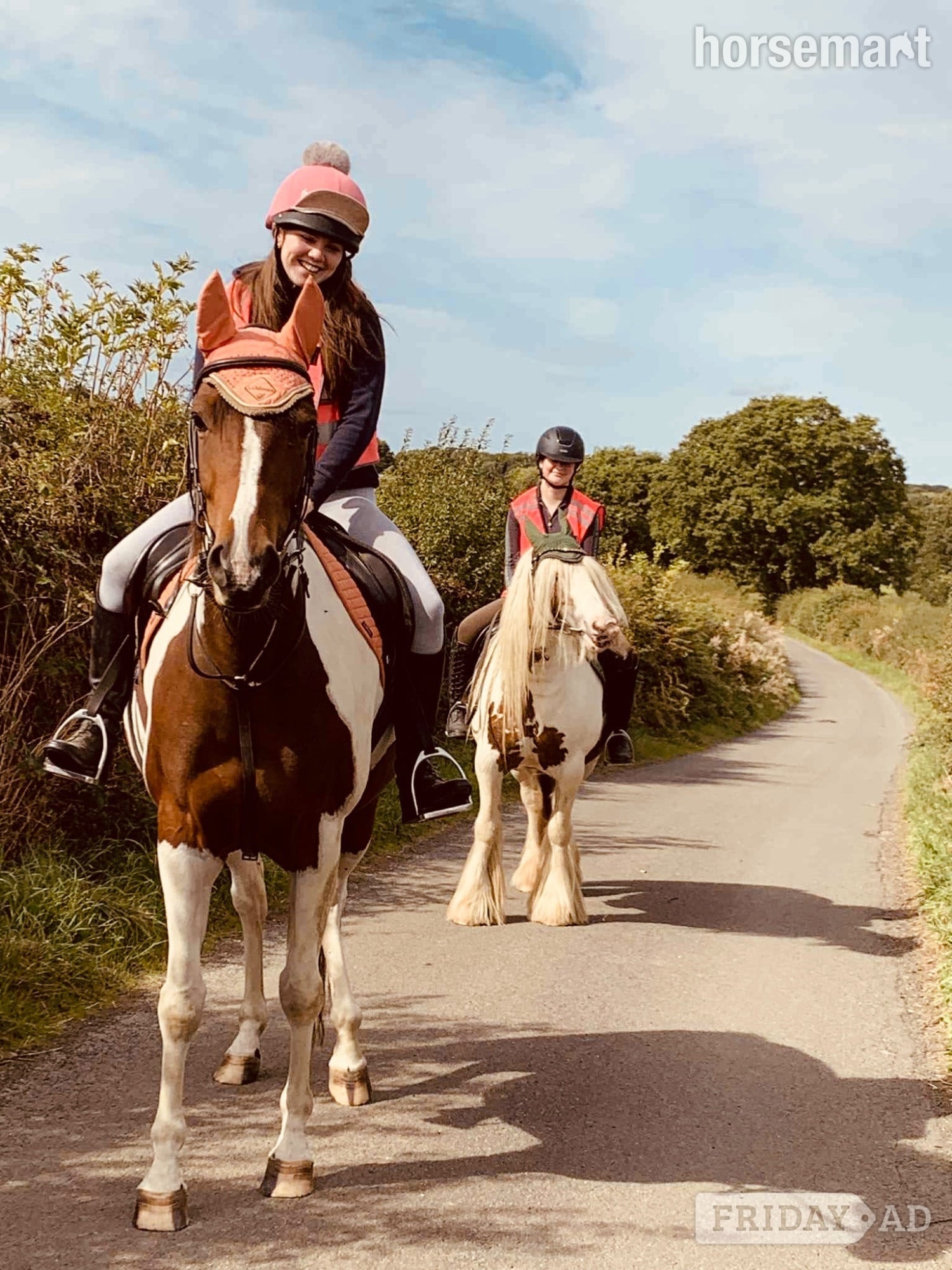 "Maddie" Skewbald Mare All Rounder