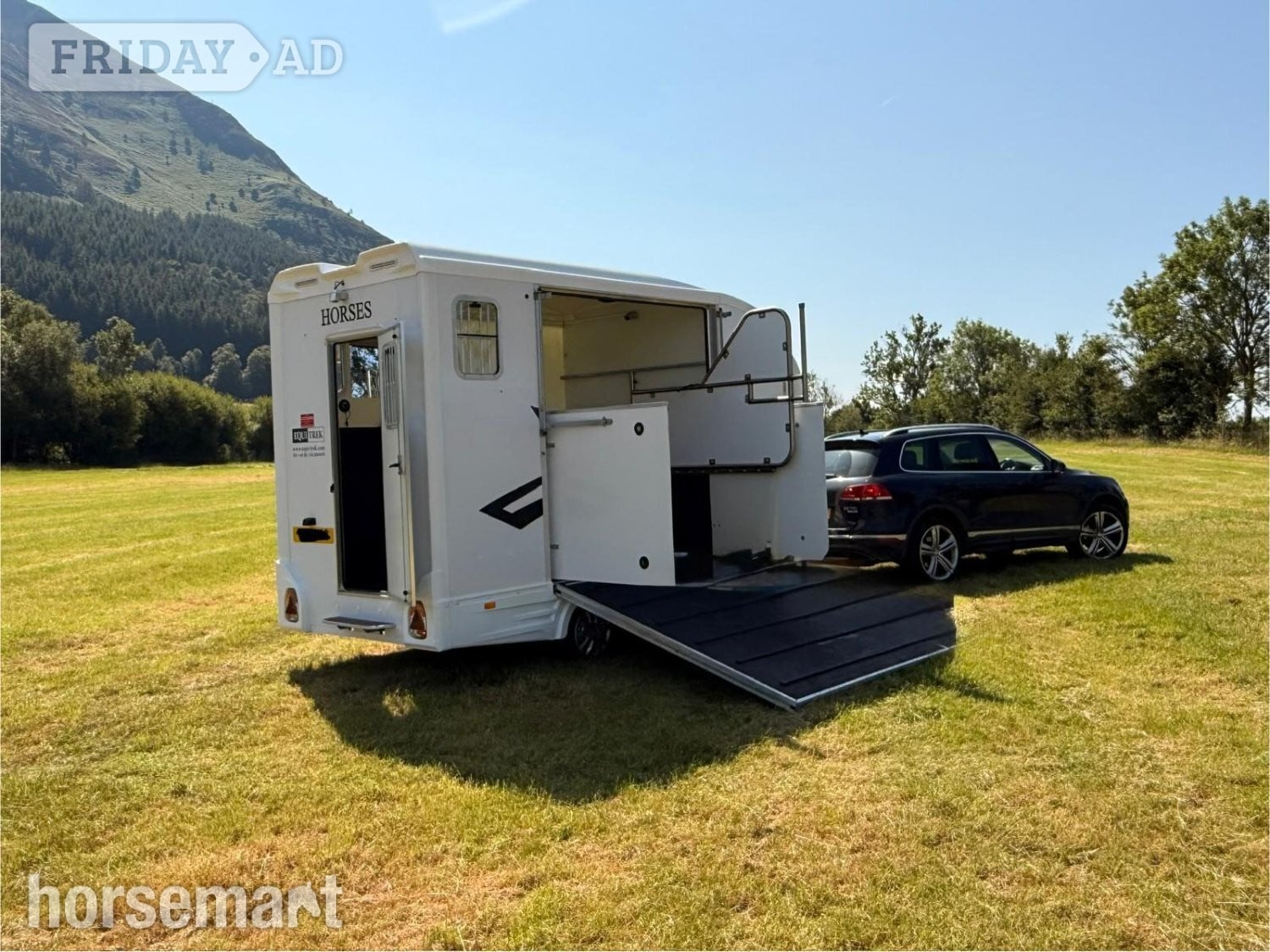 Equi-Trek Day-Treka Excel  Horse Trailer - Trailers & Horseboxes in Keswick