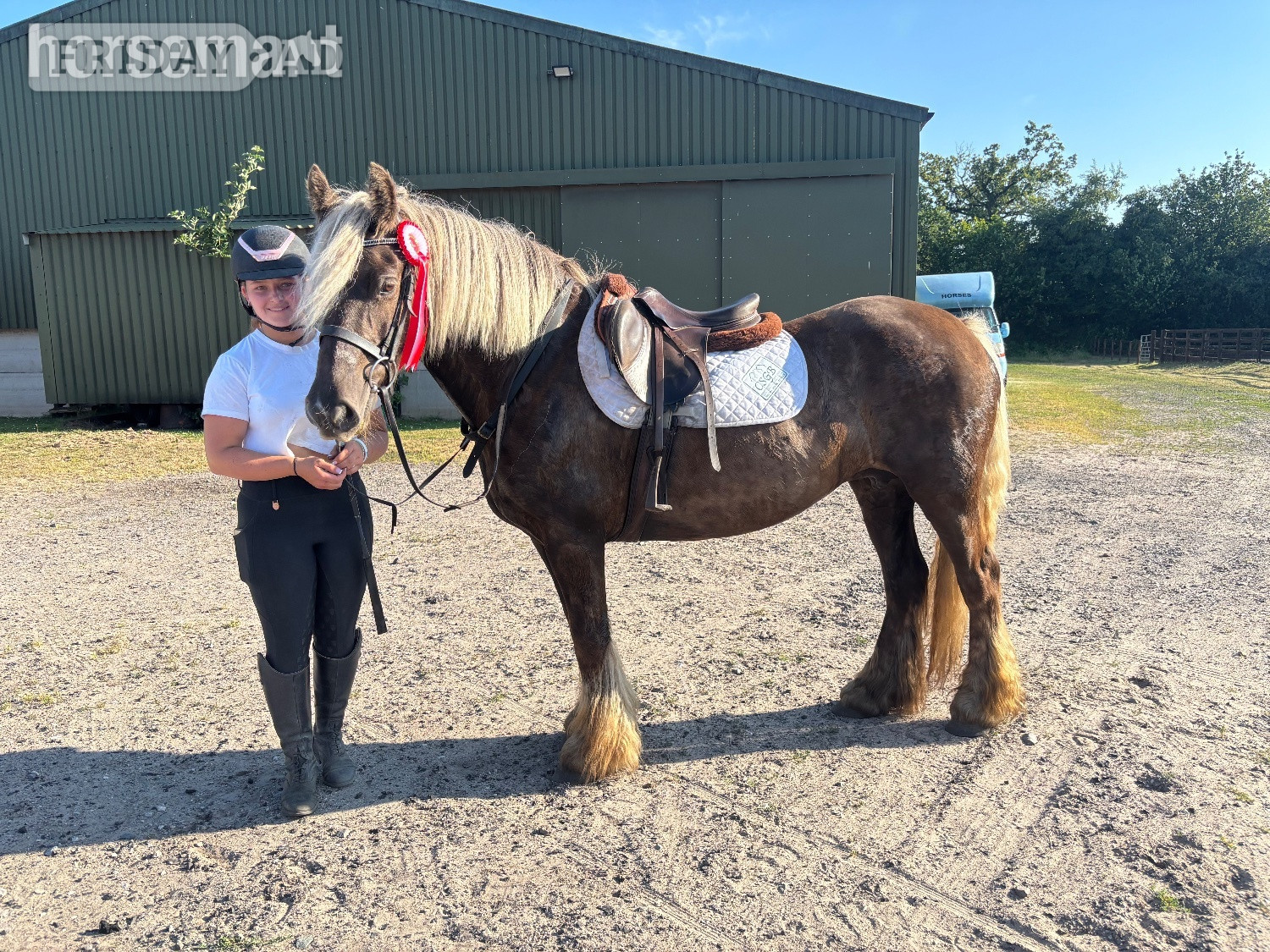 Mow Cop "Coco " Silver Dun Mare All Rounder