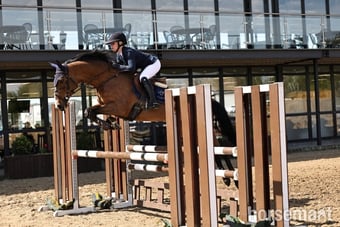 "Mable " Bay Mare All Rounder