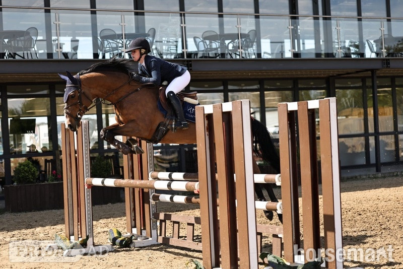 "Mable " Bay Mare All Rounder in Whalley