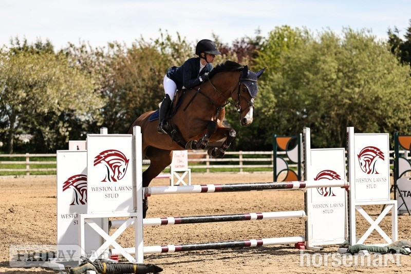 Whalley "Mable " Bay Mare All Rounder
