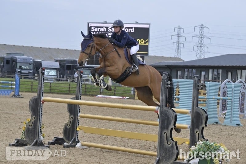 Whalley "Mina " Bay Mare All Rounder