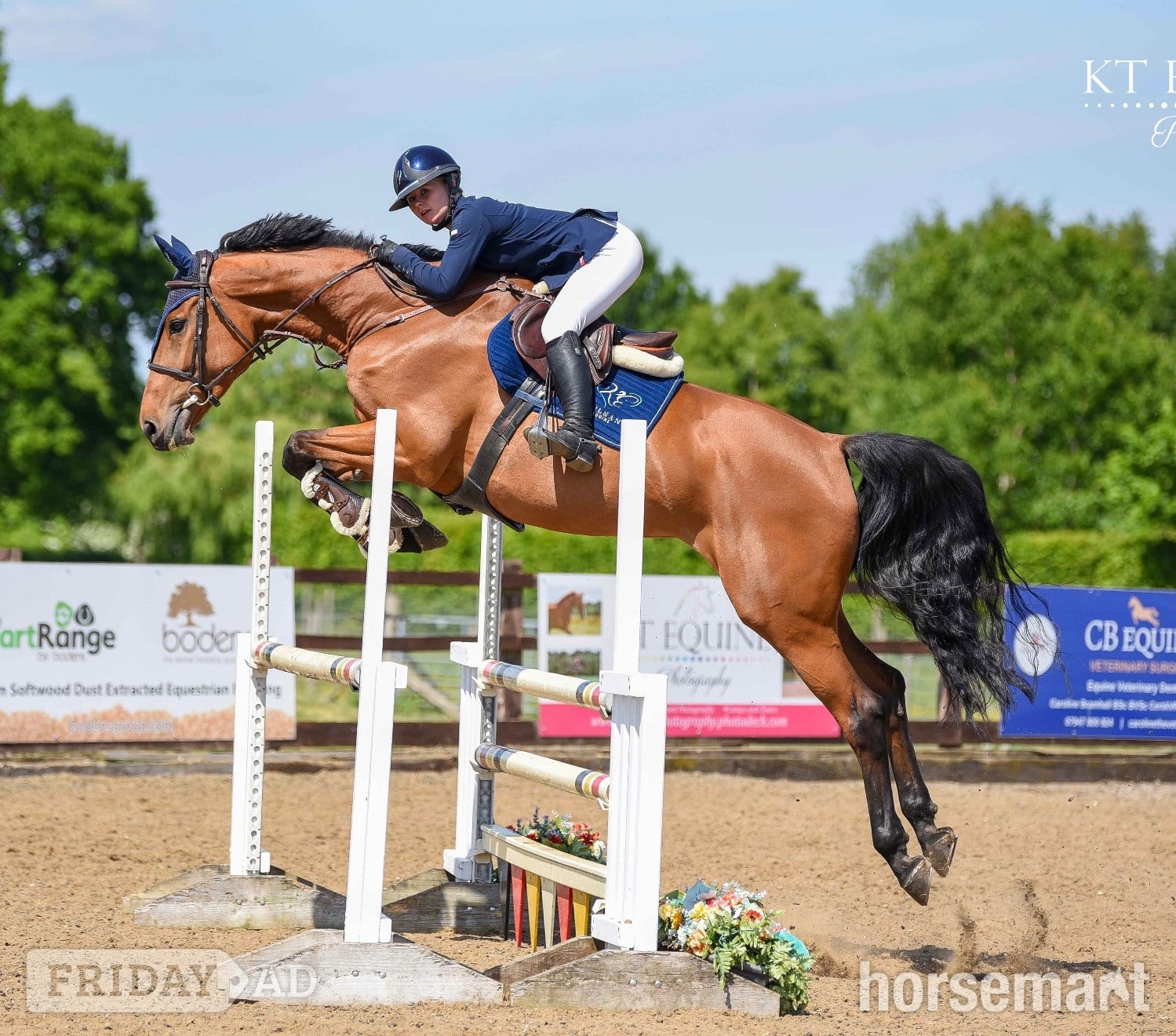 "Mina " Bay Mare All Rounder
