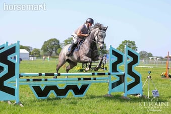 "Rosie " Grey Mare All Rounder