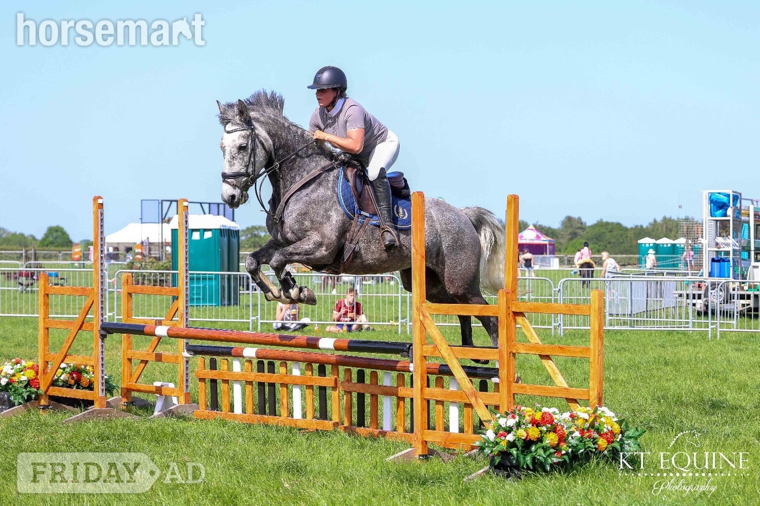 "Rosie " Grey Mare All Rounder
