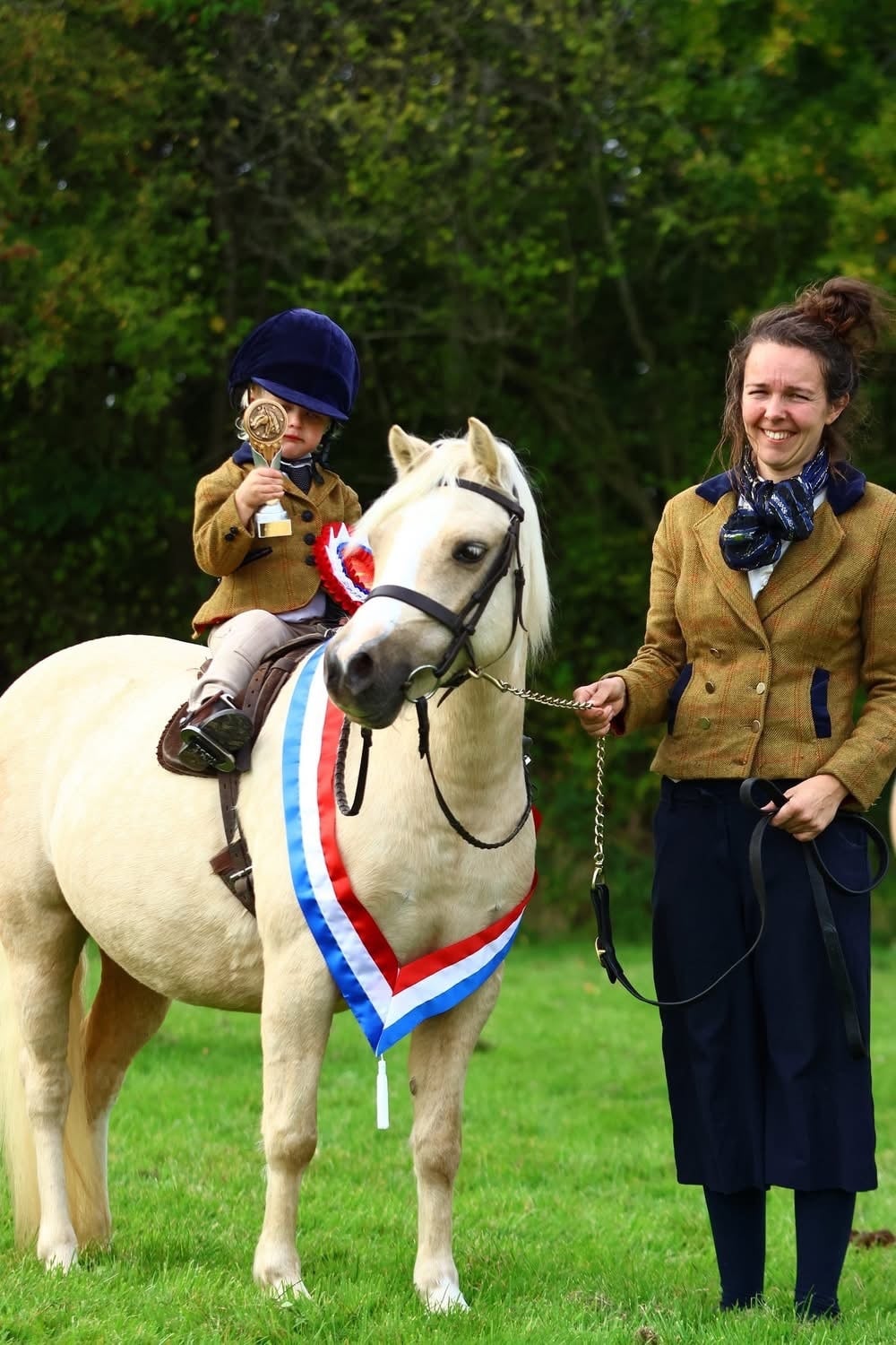 "Trefaes Glittering Leona" Palomino Mare Showing Horse - Horses