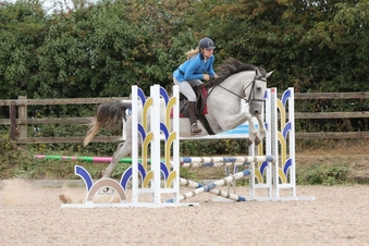 "Dora" Dapple Grey Mare Spanish / Iberian Horse