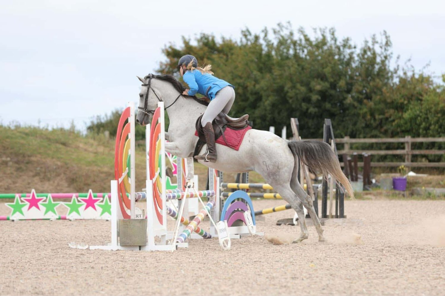King's Lynn "Dora" Dapple Grey Mare Spanish / Iberian Horse