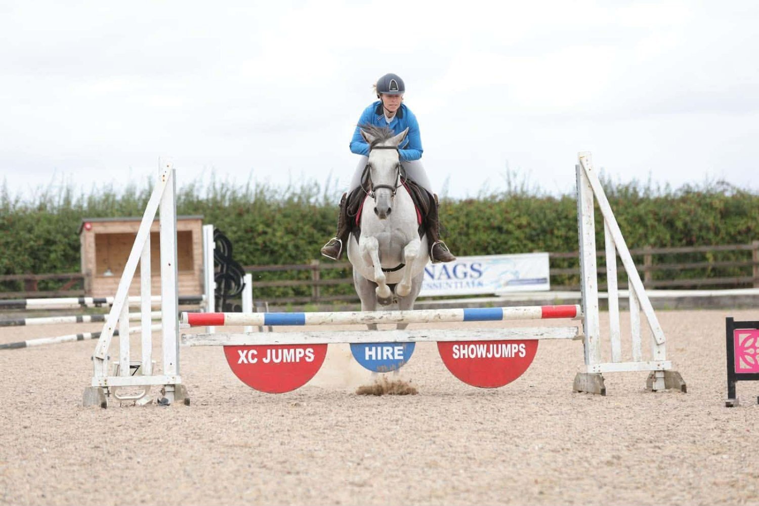"Dora" Dapple Grey Mare Spanish / Iberian Horse - Horses in King's Lynn