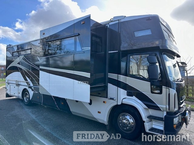 Lehel  Iveco Horsebox in Banbury