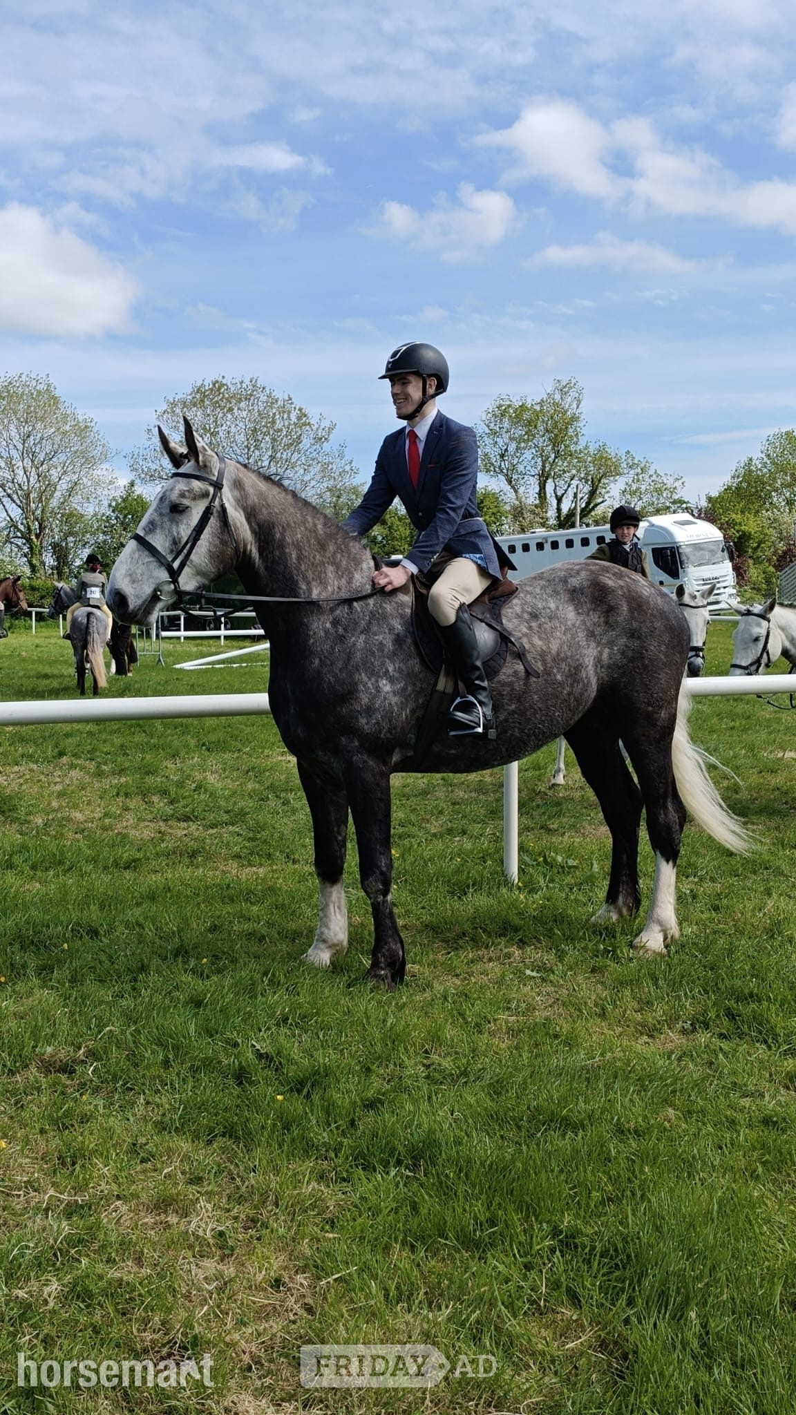 "Skellig" Dapple Grey Gelding Hunter in Collooney