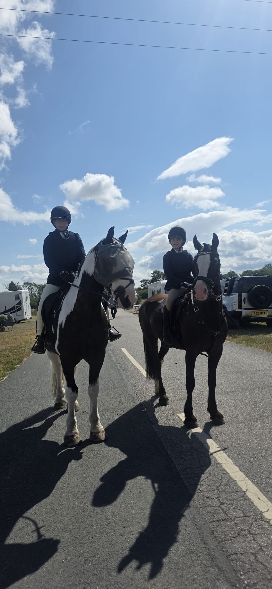 "Alverley Royal Lady " Black Mare Project Horse - Horses in Doncaster