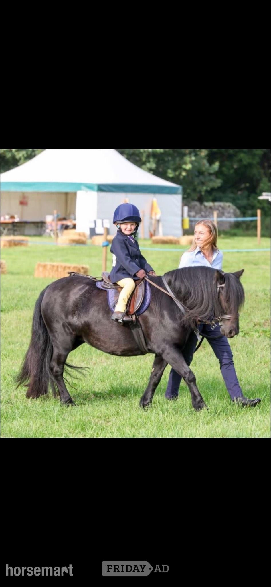 "Ebony" Black Mare All Rounder in Crook