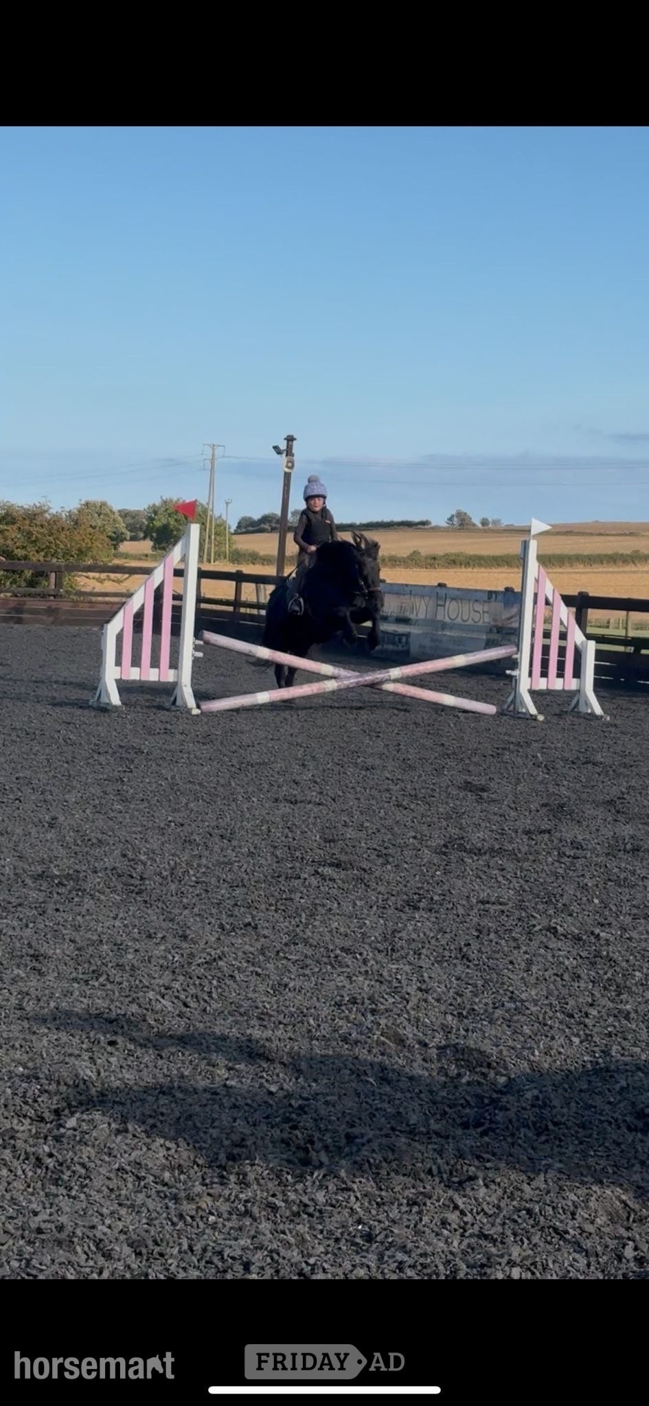 "Ebony" Black Mare All Rounder