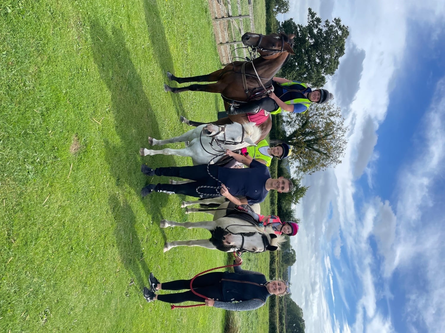 "Global Spirit" Bay Gelding All Rounder - Horses in East Rounton