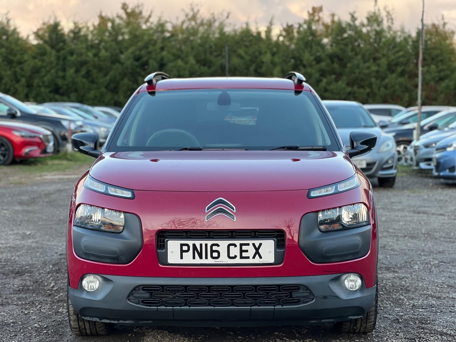 [ berth ]Citroen C4 Cactus
