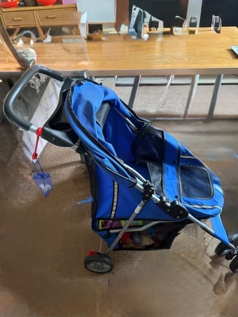 Blue cat pushchair or fine for small dog never used