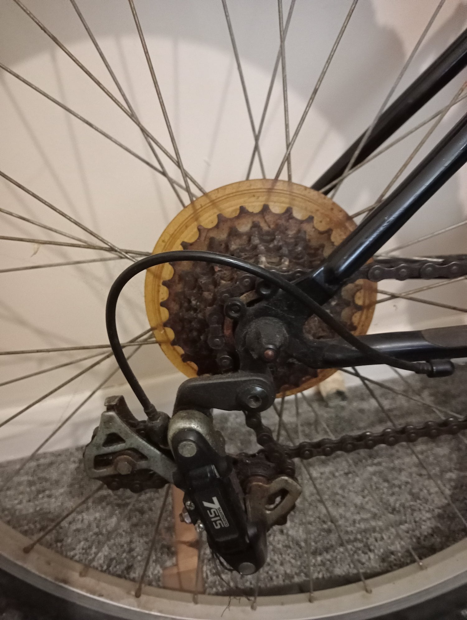 Palomar GT mountain bike!  - Bicycles in Hastings