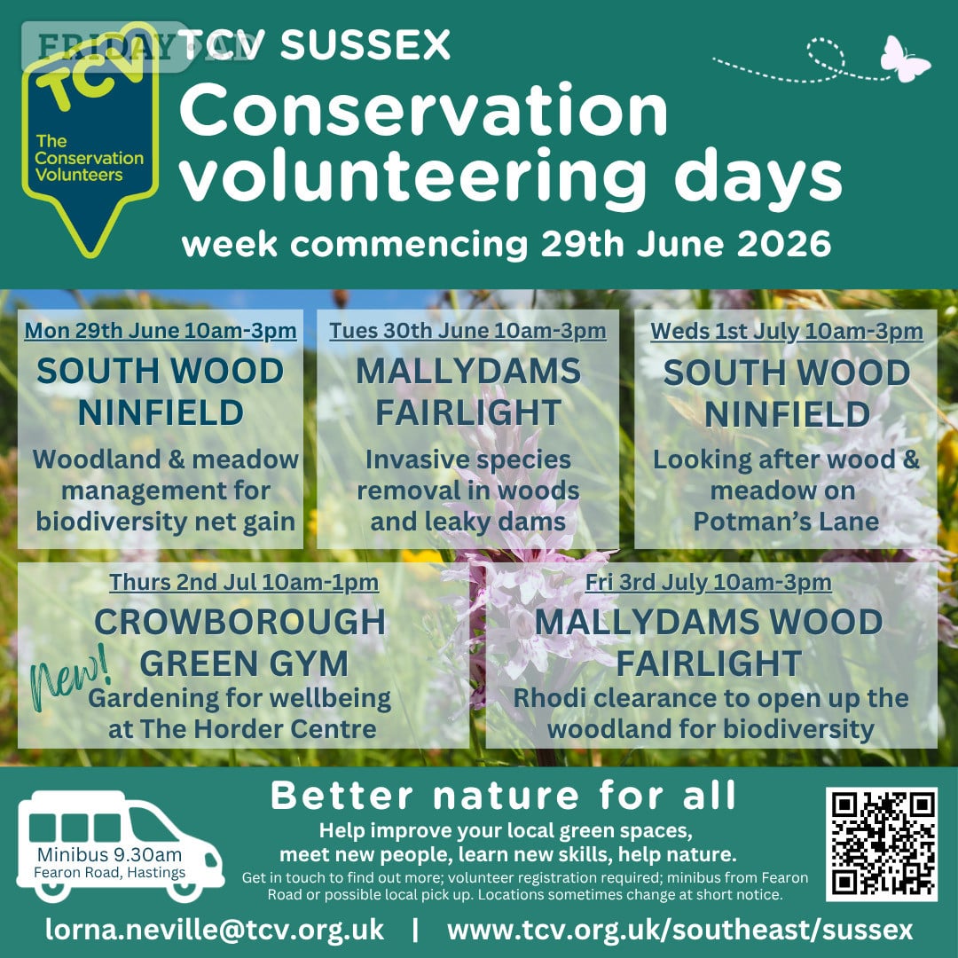 Conservation volunteering w/c 29th June 2026 in Hastings