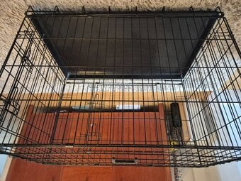 Dog crate large 