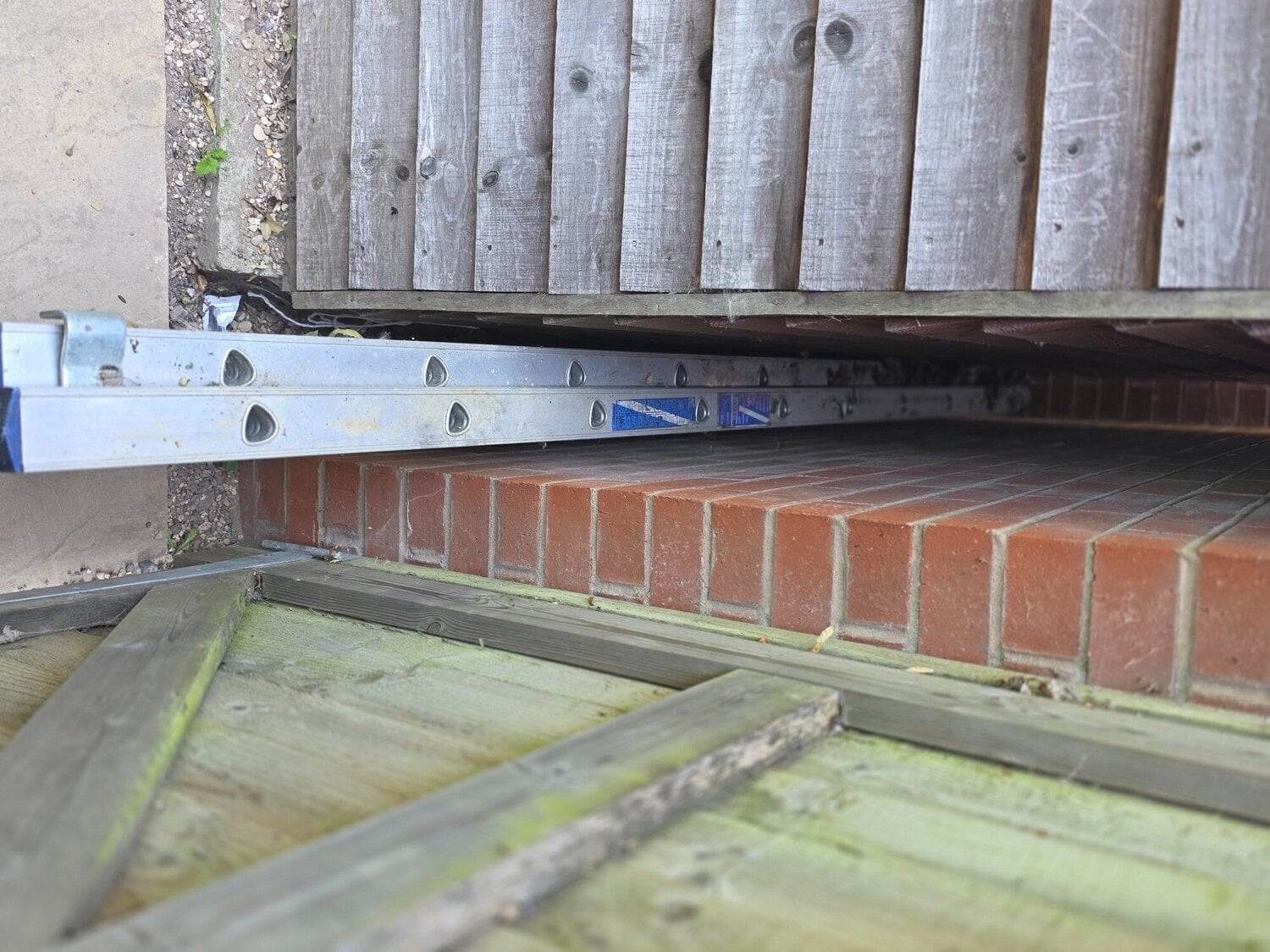 Window cleaners ladders