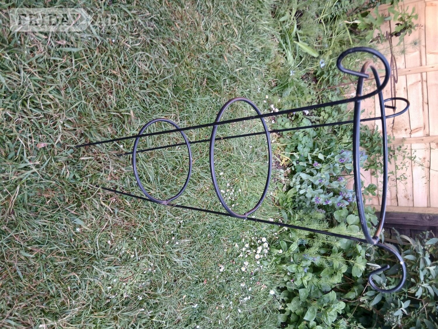 Decorative plant supports