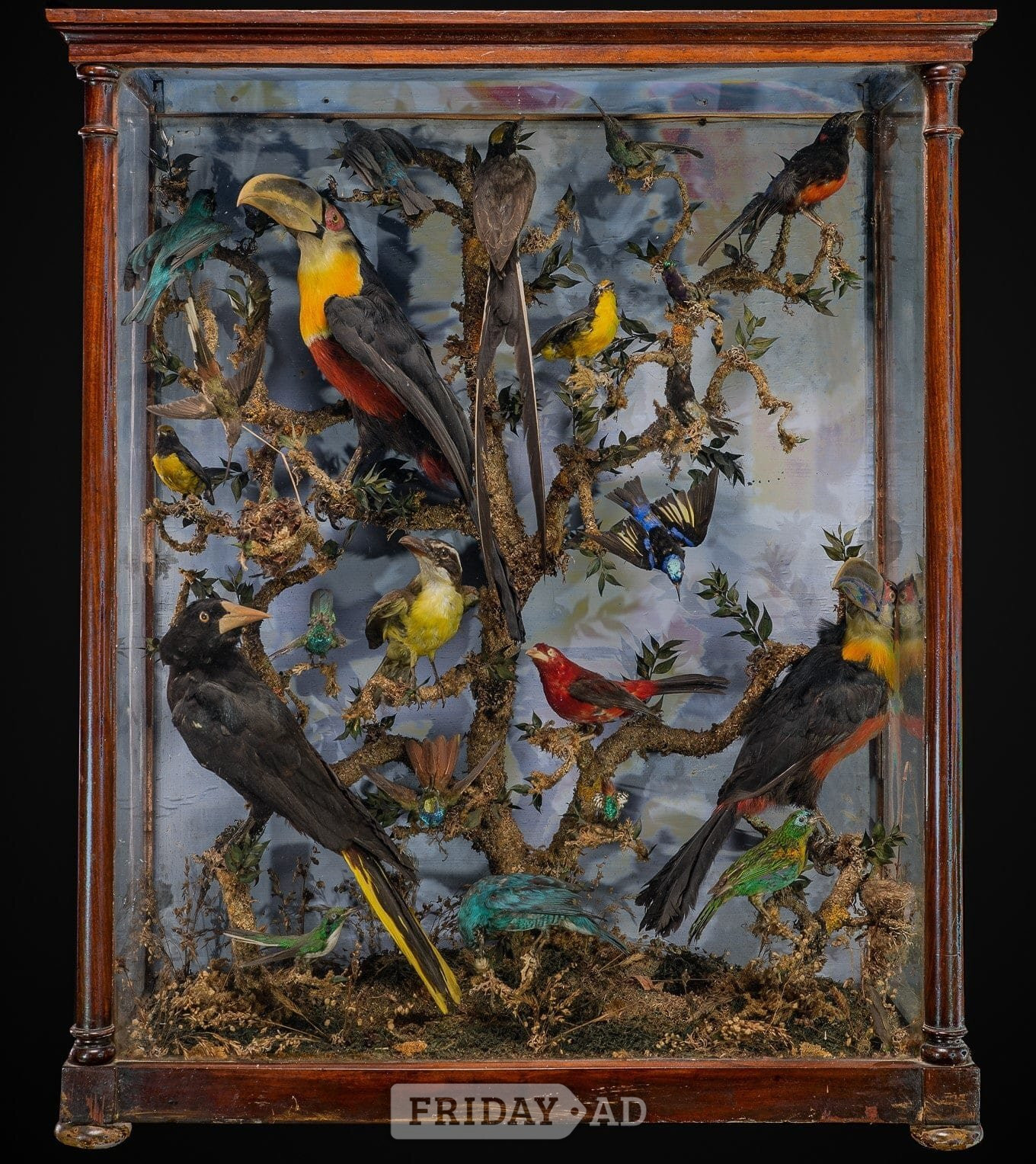 WANTED ANTIQUE TAXIDERMY heads, rugs, cased birds, feet in London