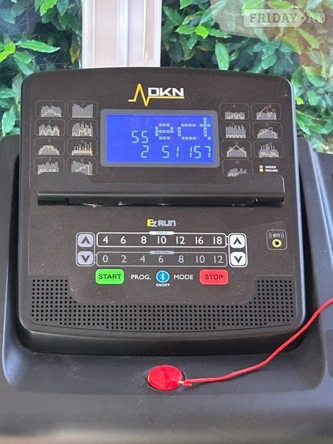 Worthing DKN EZRun treadmill 