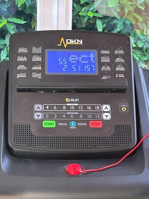 Worthing DKN EZRun treadmill 