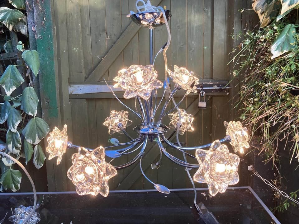 Northampton Ceiling lights X2 - flower design