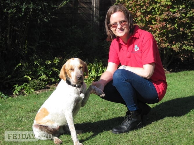 Brighton Dog First Aid courses East/West Sussex