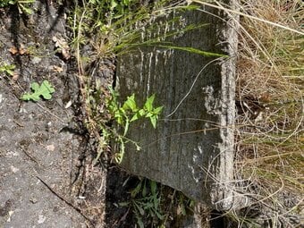 ANTIQUE SQUARE PLANTER